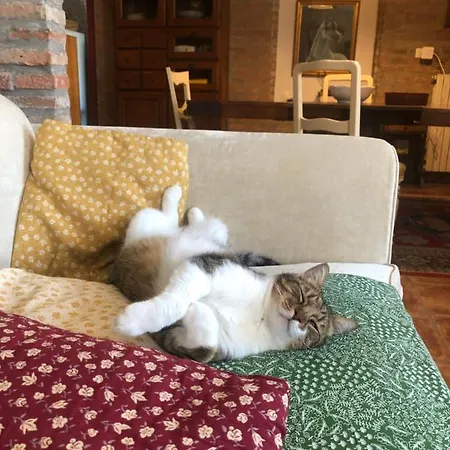 Casa Matilde Couette-café